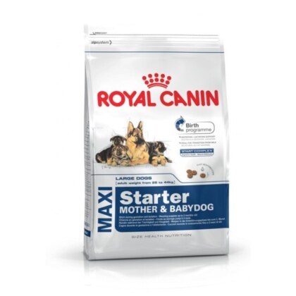 ROYAL CANIN Maxi Starter Mother and Babydog Dry Dog Food