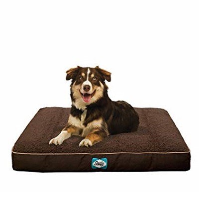 Sealy Cushy Comfy Autumn Brown Dog Beds