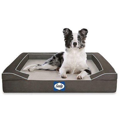 Sealy Lux Orthopedic Modern Grey Dog Beds
