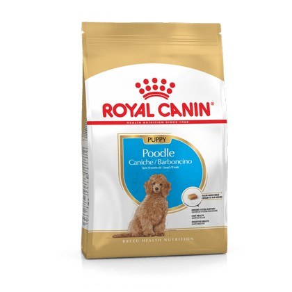 ROYAL CANIN Poodle Puppy