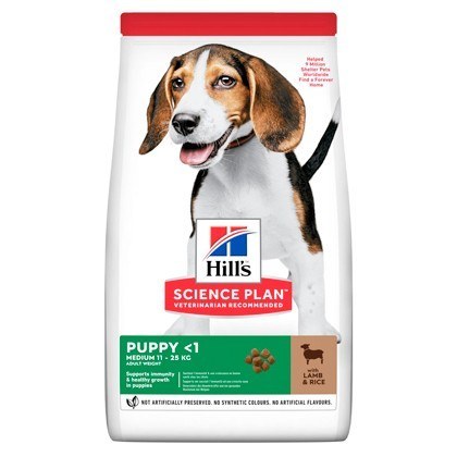 Hills Science Plan Small and Mini Puppy Lamb and Rice Dry Dog Food