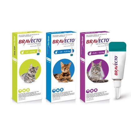 Bravecto Spot On Tick and Flea Drops For Cats