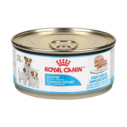 ROYAL CANIN Starter Mousse Can Wet Dog Food