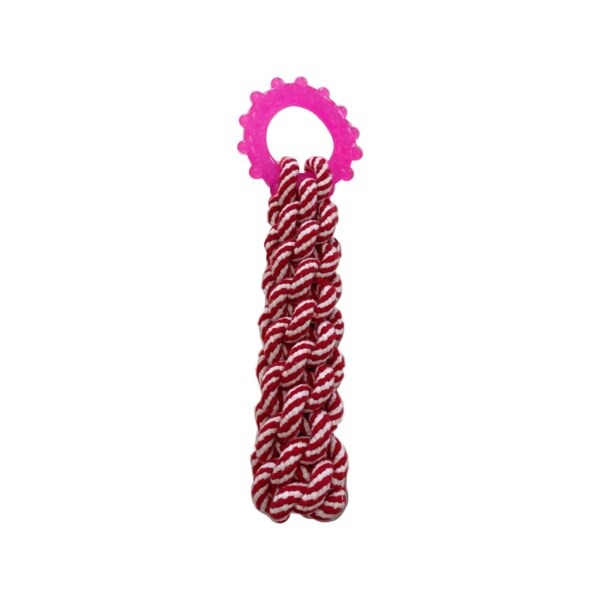 Dogs Ring on a Rope Dog Toy