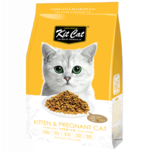 Kit Cat Kitten Preg