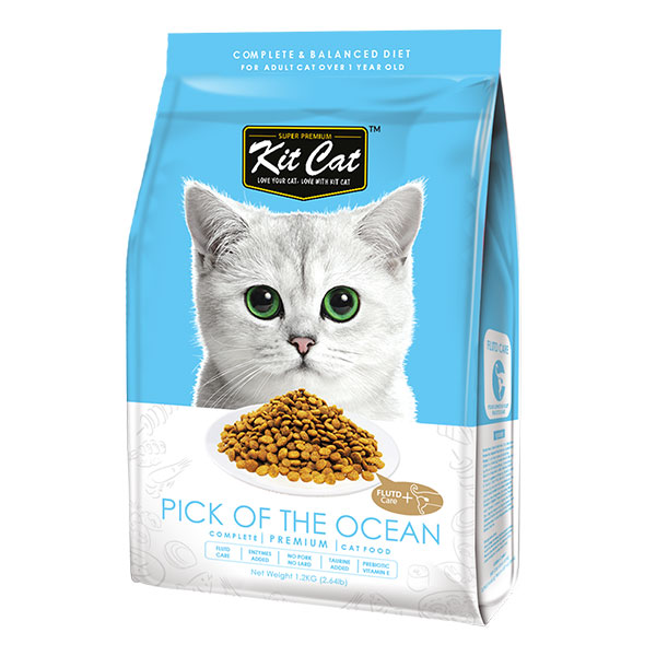 Kit Cat Ocean