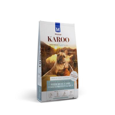 Karoo Dog Insect